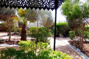 01-01-f Garden view2580